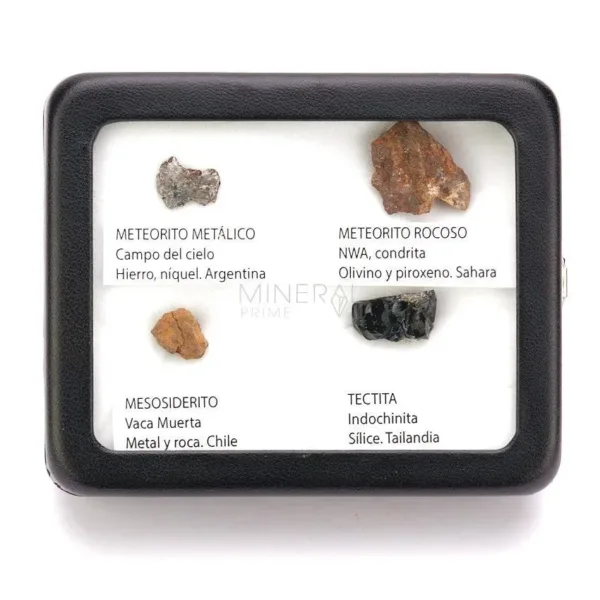 caja con tres meteoritos y una tectita