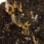 cristales de una drusa de mineral de wulfenita