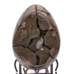 geoda de mineral de septaria pulido en forma de huevo