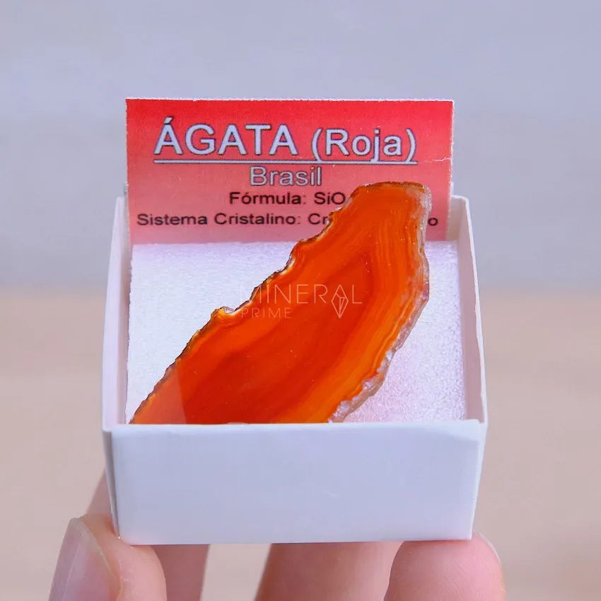 mineral de coleccion agata roja natural