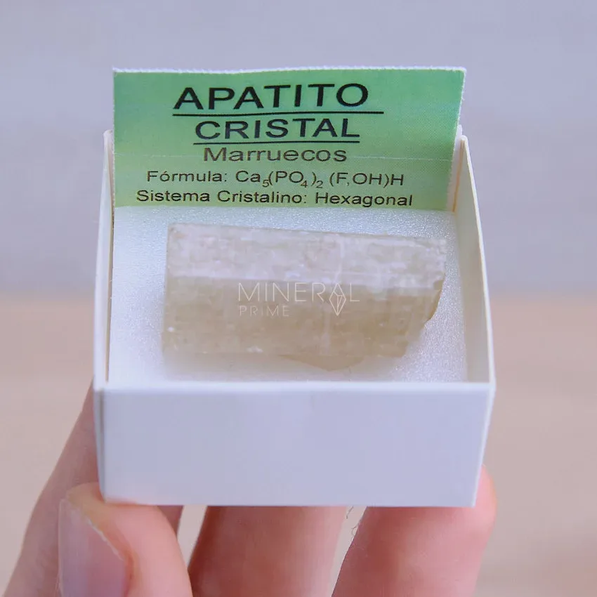 mineral de coleccion apatito cristal en bruto natural