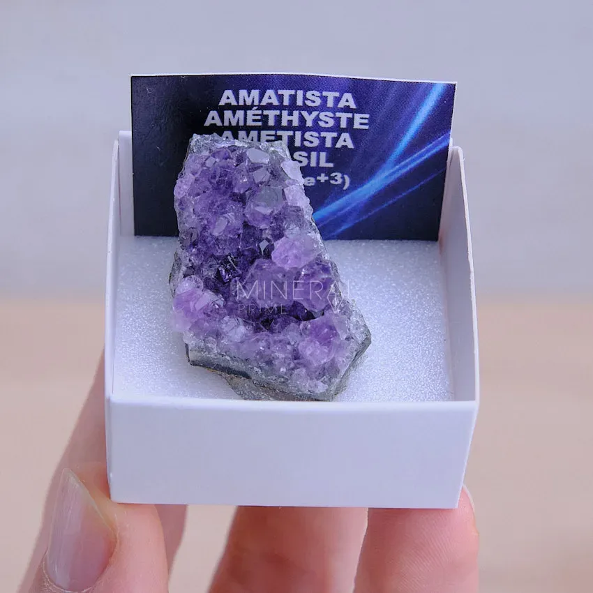 mineral de coleccion drusa de amatista en bruto natural