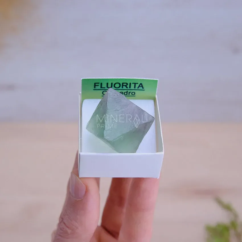 mineral de coleccion octaedro de fluorita verde en bruto precio