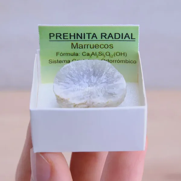 mineral de coleccion prehnita radial en bruto natural