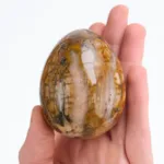 huevo de madera petrificada mineral
