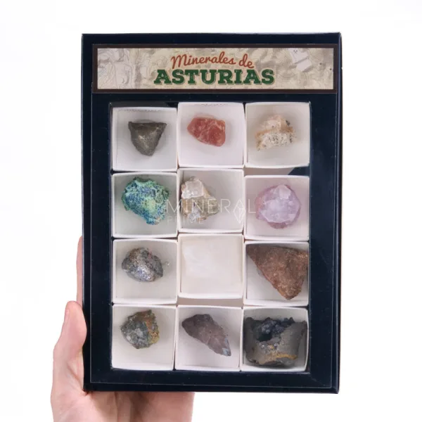 comprar coleccion minerales de asturias · cajas x cm