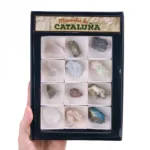 comprar coleccion minerales de cataluna · cajas x cm