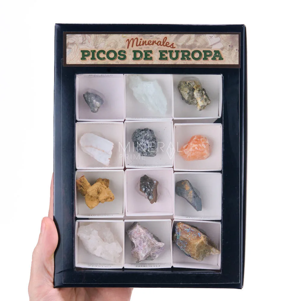Colección de minerales de Picos de Europa · 12 Cajitas de 4x4 cm - Mineral  Prime