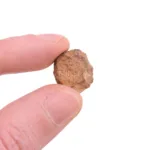 meteorito meteorito vaca muerta