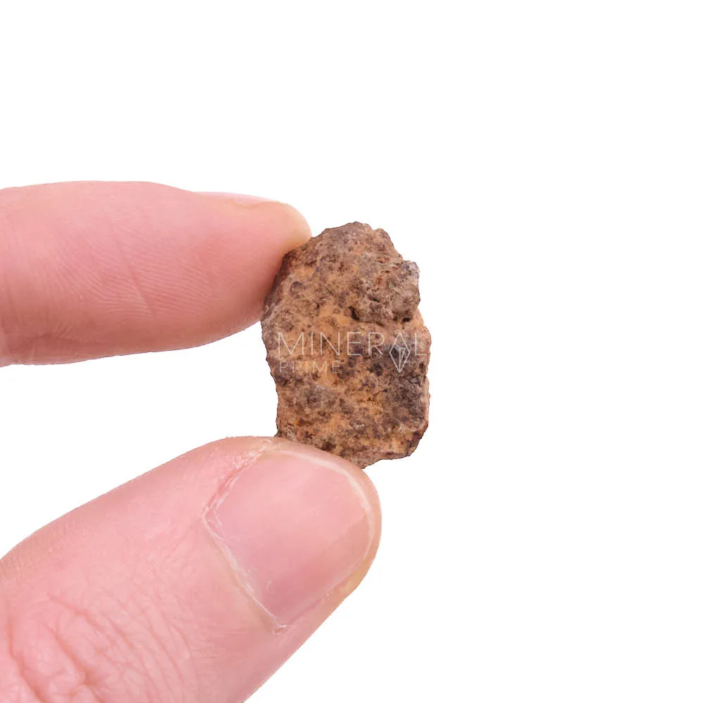 meteorito vaca muerta propiedades